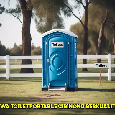 sewa toilet portable cibinong berkualitas